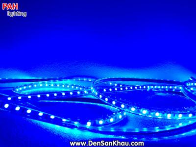 LED dây Xanh 5050, 60 led, chịu nước, 1m, 220v 4