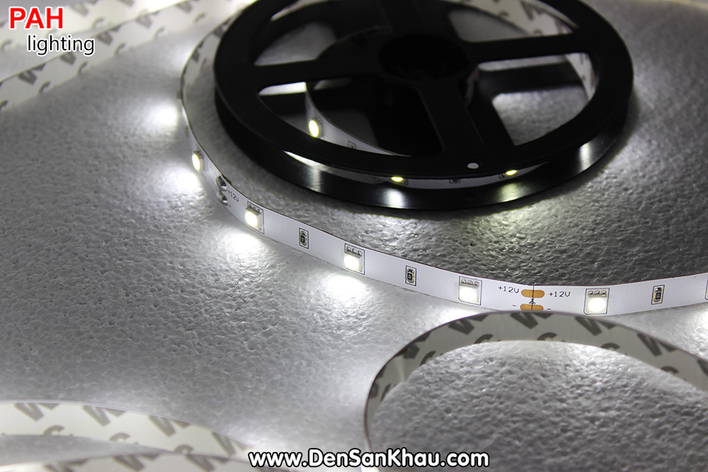 LED dây Trắng 5050, 150 led, cuộn 5m, 12v