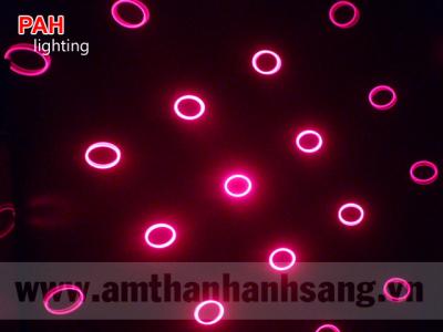 Máy chiếu laser cá heo chiếu hiệu ứng sôi động 11