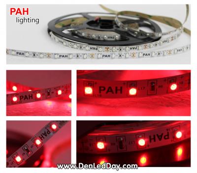 LED dây Đỏ 3528, 150 led, cuộn 5m, 12v 8