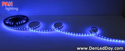 LED dây Xanh Blue 3528, 300 led, cuộn 5m, 12v 5