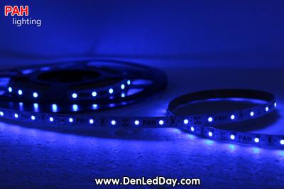 LED dây Xanh Blue 3528, 300 led, cuộn 5m, 12v 7