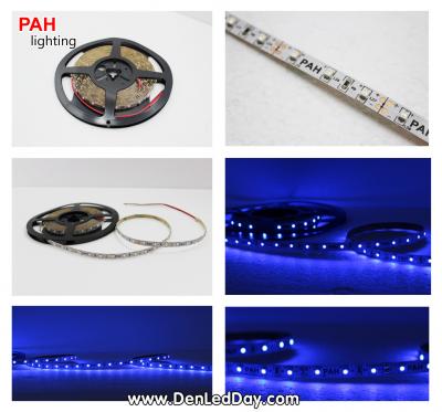 LED dây Xanh Blue 3528, 300 led, cuộn 5m, 12v 8