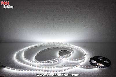 LED dây Trắng 3528, 300 led, cuộn 5m, 12v 11
