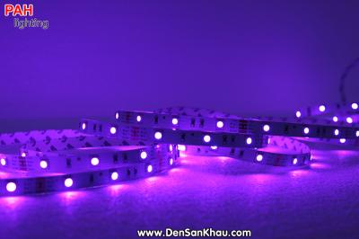 LED dây 7 màu 5050, 150 led, cuộn 5m, 12v 15