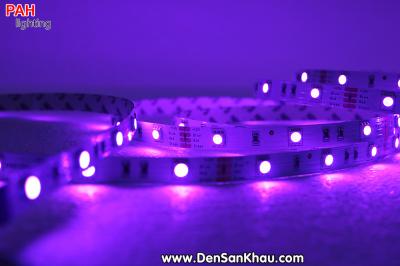LED dây 7 màu 5050, 150 led, cuộn 5m, 12v 24