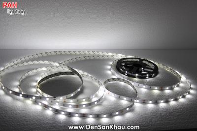 LED dây Trắng 5050, 150 led, cuộn 5m, 12v 10