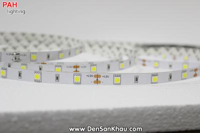 LED dây Trắng 5050, 150 led, cuộn 5m, 12v 2