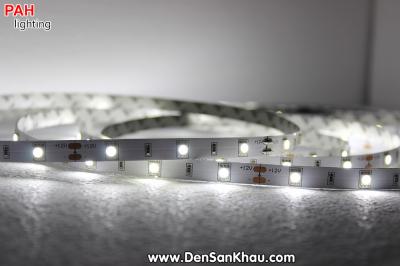 LED dây Trắng 5050, 150 led, cuộn 5m, 12v 5