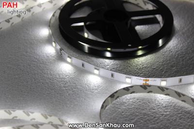 LED dây Trắng 5050, 150 led, cuộn 5m, 12v 6