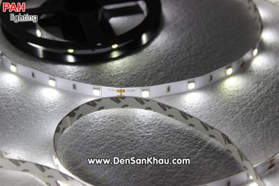 LED dây Trắng 5050, 150 led, cuộn 5m, 12v 7