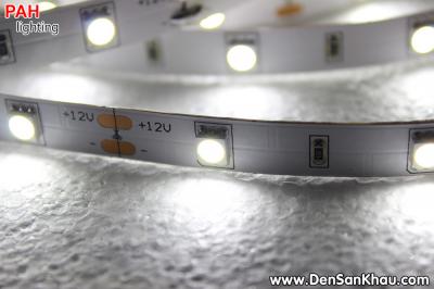 LED dây Trắng 5050, 150 led, cuộn 5m, 12v 9