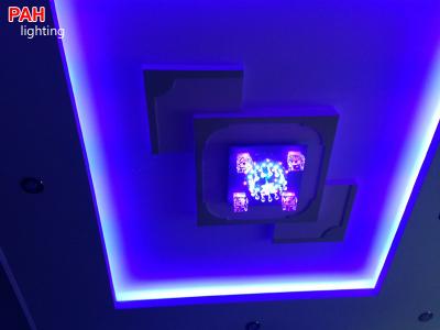 Trang trí led dây cao cấp PAH 2