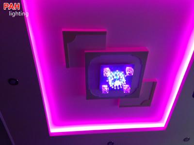 Trang trí led dây cao cấp PAH 4