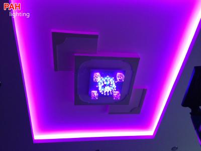 Trang trí led dây cao cấp PAH 8