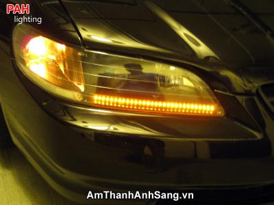 Trang trí led dây cao cấp PAH 28