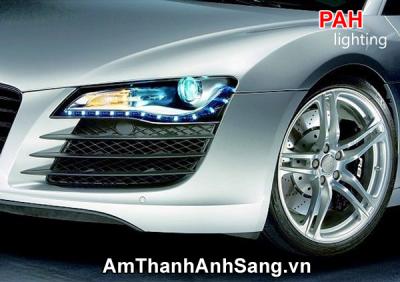 Trang trí led dây cao cấp PAH 30