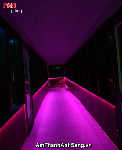 Trang trí led dây cao cấp PAH 11