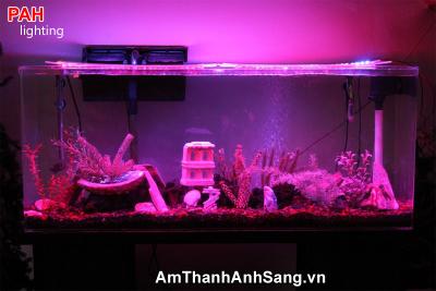 Trang trí led dây cao cấp PAH 45