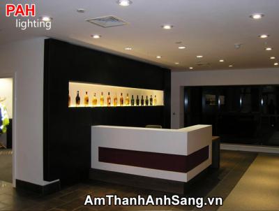 Trang trí led dây cao cấp PAH 59