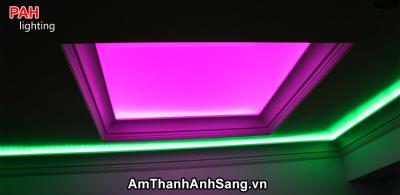 Trang trí led dây cao cấp PAH 12