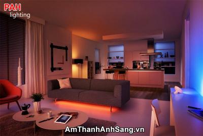 Trang trí led dây cao cấp PAH 64